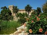 Eine Burg in Spanien mit Palmen