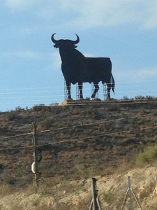 Ein Bild von einem Stier auf einer weide