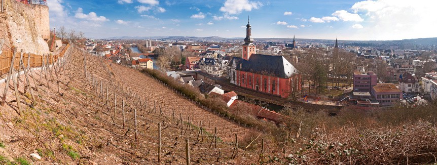 Die Stadt Bad Kreuznach mit einem Weinberg Feld davor